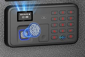 smart-safe